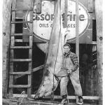 This Great White was caught off Gurnet, Plymouth, MA. in 1938.  The picture was taken at the docks in Plymouth harbor.  Love this picture!!!