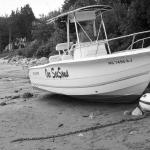 This boats swivel failed and washed up on the beach, just inches from the rocks.