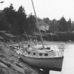 This sail boat broke off its mooring and crashed into the seawall.  A very expensive crane had to remove it.